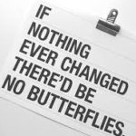 change butterflies